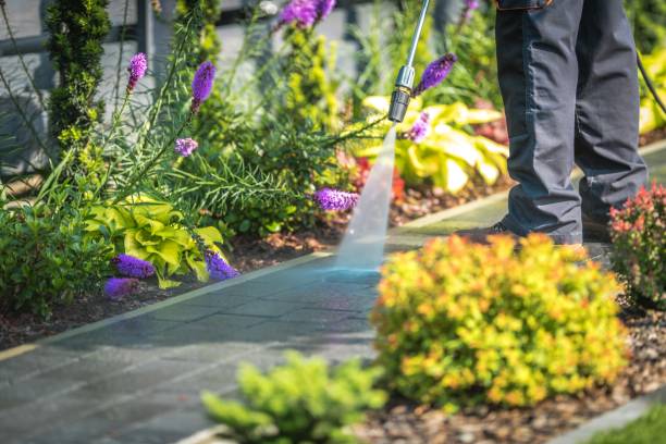 Best Warehouse Cleaning  in Mountain View Acres, CA